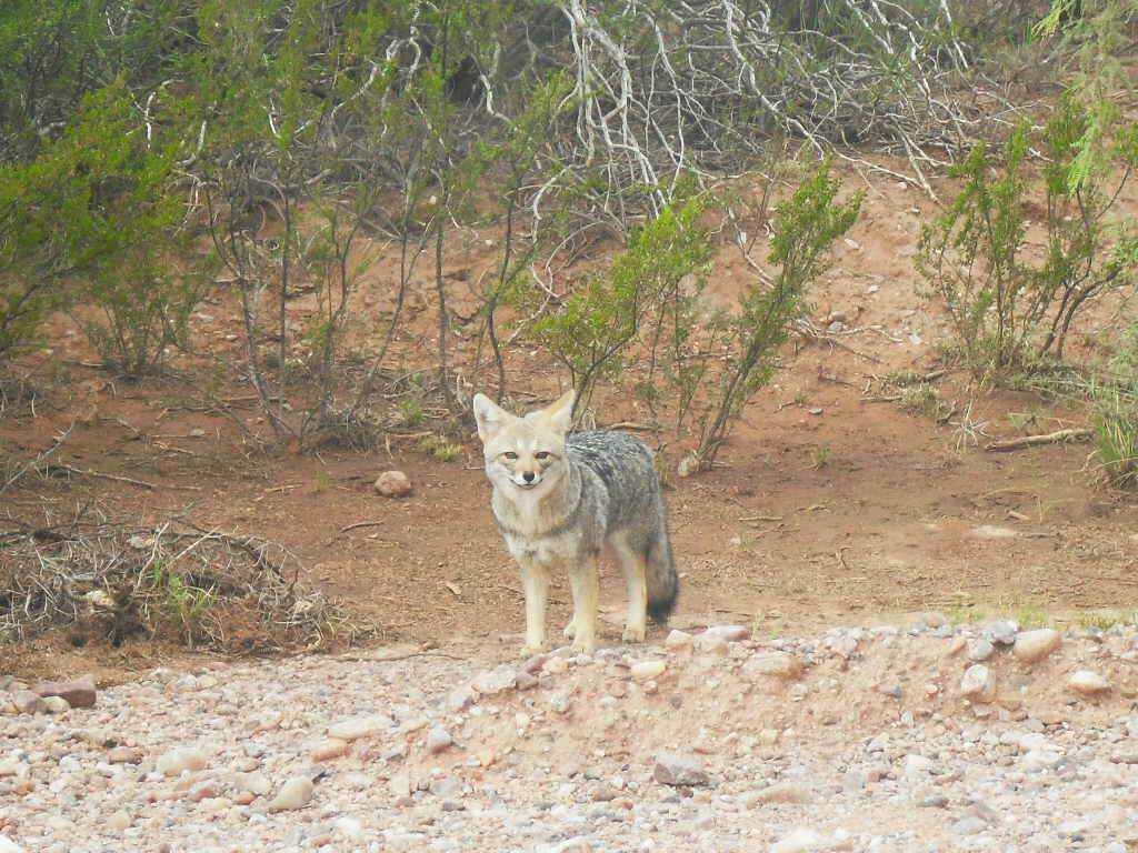Sierra de las Quijadas National Park Preserving the